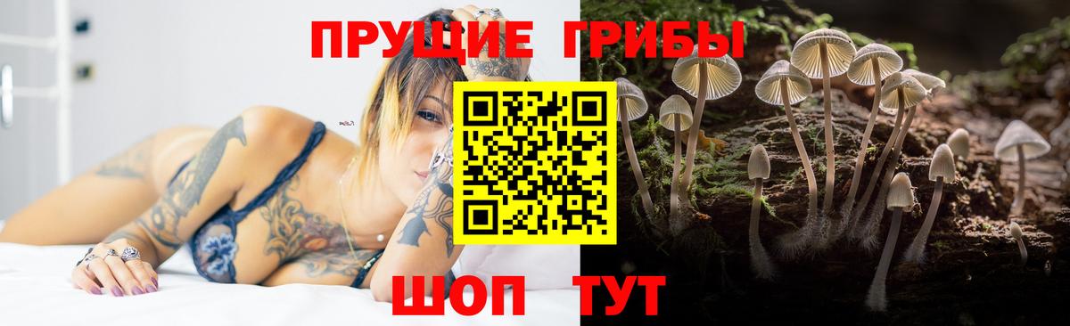 Галлюциногенные грибы Cubensis Ипатово
